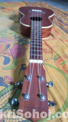 Ukelele 24